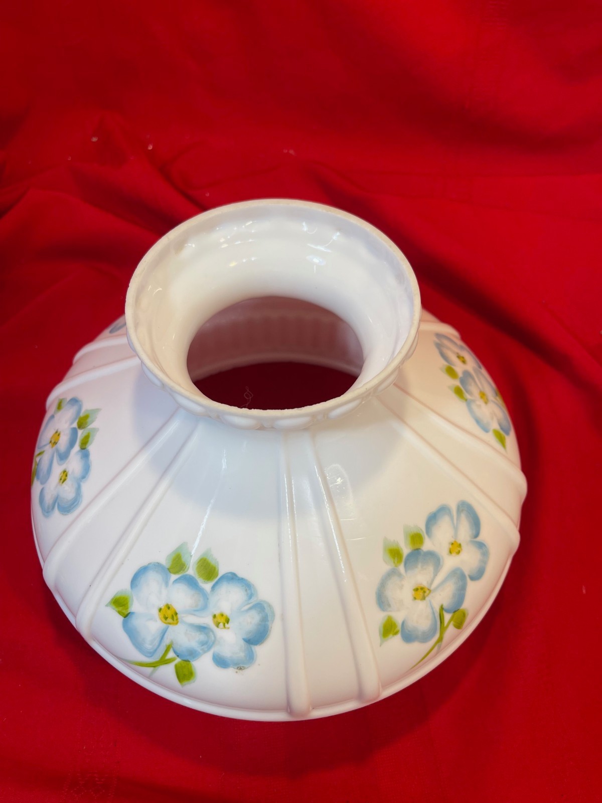 Antique Hand Painted Floral Aladdin Coleman Oil Lamp Shade
